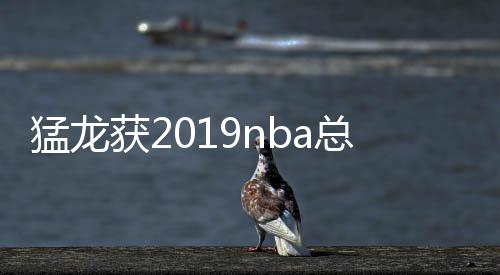 猛龙获2019nba总决赛冠军 勇士输了袁弘儿子安慰父亲