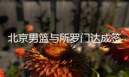 北京男篮与所罗门达成签约协议 2米08蓝领内线