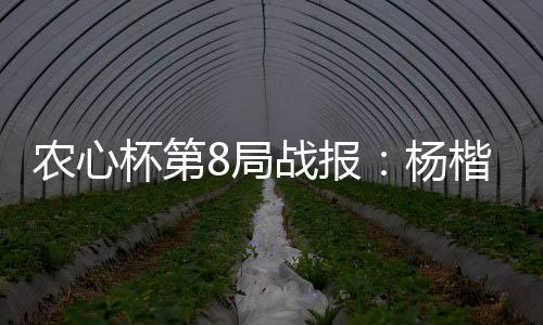 农心杯第8局战报：杨楷文胜安成浚 取得两连胜