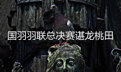 国羽羽联总决赛谌龙桃田贤斗争冠 陈雨菲何冰娇入围