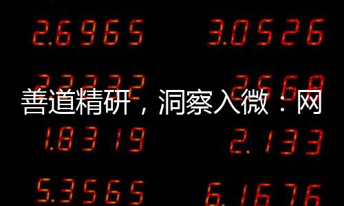 善道精研，洞察入微：网易红彩用户的分析达人成长赋