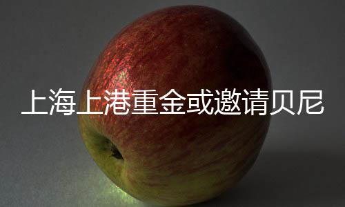 上海上港重金或邀请贝尼特斯执教 年薪高达1000万镑