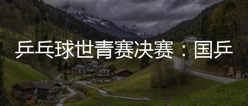 乒乓球世青赛决赛：国乒男团3