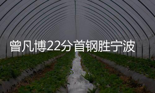 曾凡博22分首钢胜宁波 郭艾伦25分广州连胜