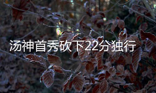 汤神首秀砍下22分独行侠胜马刺 绿军大胜奇才