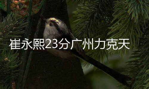 崔永熙23分广州力克天津7连胜 同曦险胜山西