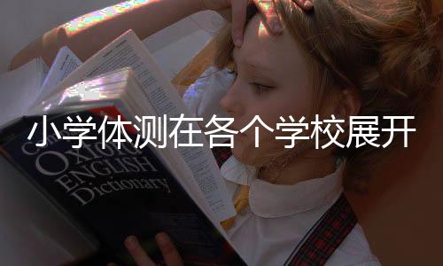小学体测在各个学校展开 最新六年级测试项目及评价标准表一览