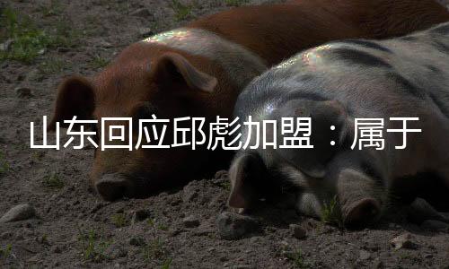 山东回应邱彪加盟：属于球迷猜测 还没签合同