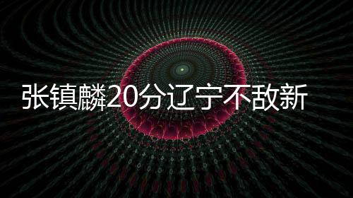 张镇麟20分辽宁不敌新疆 吴前16分浙江胜青岛