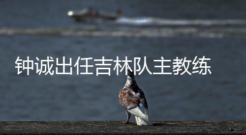 钟诚出任吉林队主教练 曾帮助辽宁夺队史首冠