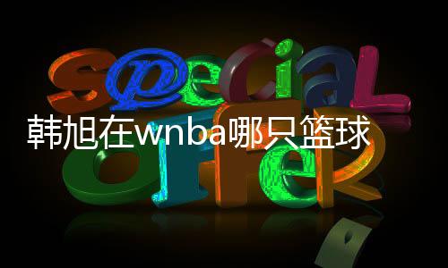 韩旭在wnba哪只篮球队 常规赛自由人遭三连败