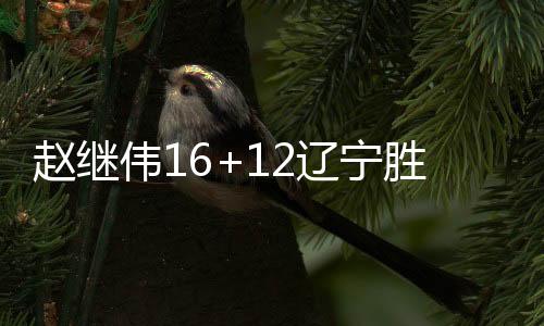 赵继伟16+12辽宁胜天津 刘志轩15+9江苏胜宁波
