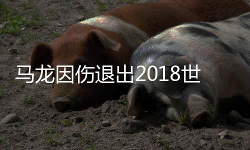 马龙因伤退出2018世界巡回总决赛 中国队放弃男双争夺