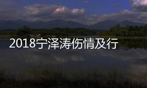 2018宁泽涛伤情及行程消息:被诊断为韧带二度损伤 月底将回澳洲备战